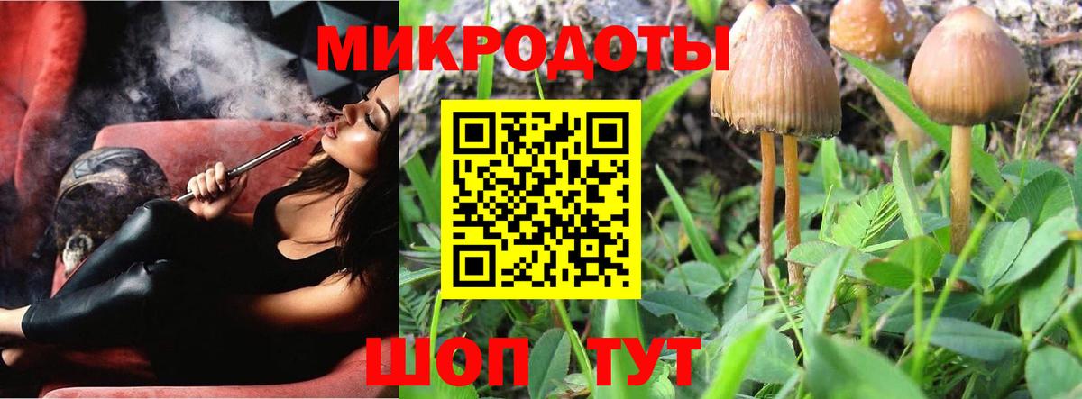 Амурск  Псилоцибиновые грибы Psilocybe  Вход с VPN 
